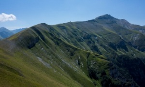 immagine primo piano immagine primo piano