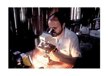  immagine primo piano