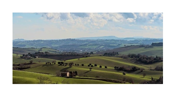  immagine primo piano
