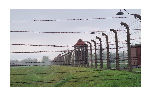  immagine primo piano