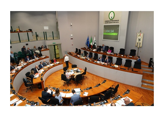 immagine articolo:APPROVATE NORME SU TETTOIE PER USI CIVICI E RACCOLTA FUNGHI